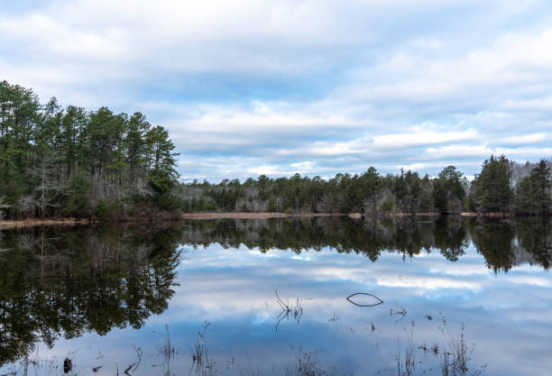 istock Winter Scenic at Cranberry Bog County Park #9 1925280119