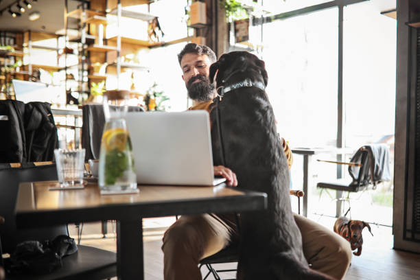 istock Labrador and Young Man's Coffee Shop Get-Together 1925282179