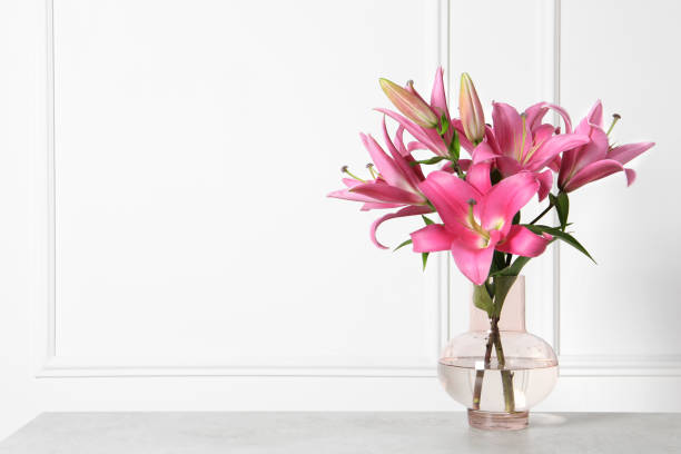 Tropical lillium flowers in vase at glasgow scotland england uk