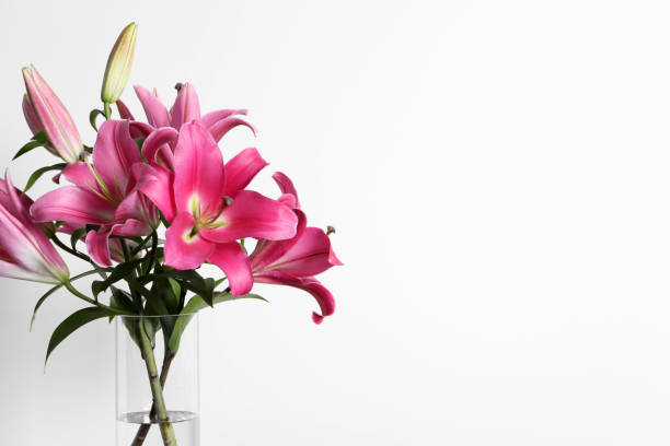 Beautiful Lilies in a Vase next to a Television