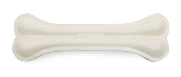 istock One bone dog treat isolated on white, top view 1925341251