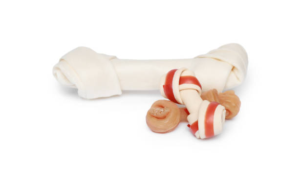 istock Different bone dog treats isolated on white 1925348344