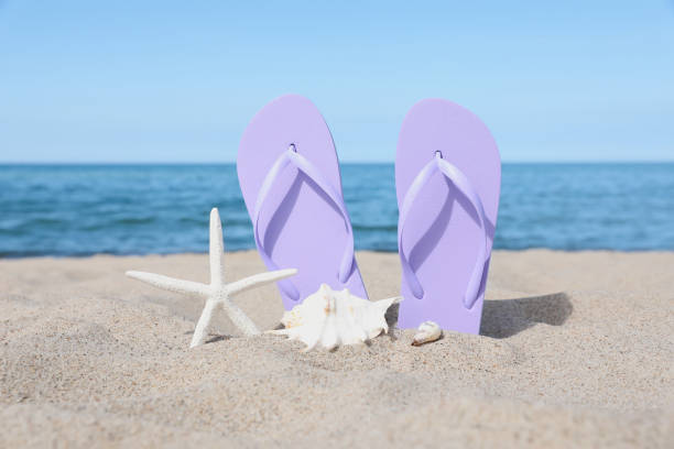 Choice of Summer Sandal for Sale
