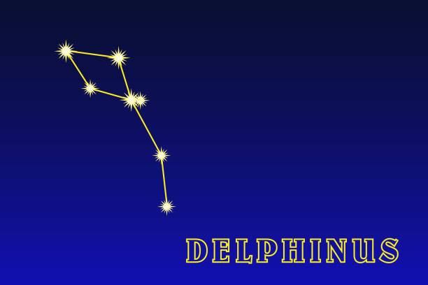 Constellation Delphinus Constellation Delphinus. Constellation Dolphin. Illustration of the constellation Delphinus. Small constellation of the northern hemisphere of the sky constellation delphinus stock illustrations