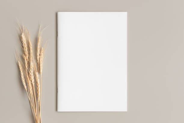 istock Magazine mockup with a dry flower on the beige table. 1925372254