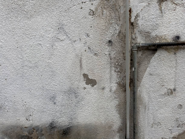 istock Abstract, detail, pattern of a section of multi-colored peeling paint layers on an old stone exterior wall. No people. Turkey 1925375455