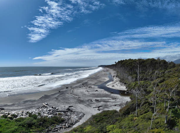 Relax at Bruce Bay Beach in New Zealand, a serene coastal haven with pristine sands and captivating ocean views. Unwind in natural beauty.