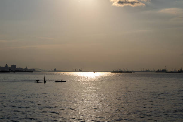 istock boat in large open ocean in sunny day time with sky 1925390483