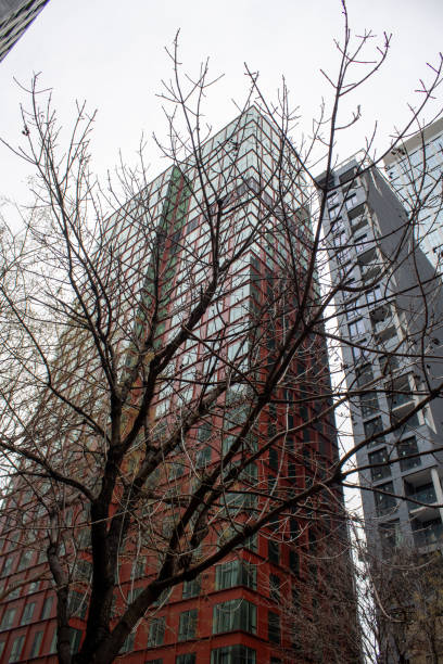 istock Barren tree stands in stark contrast against a large, brick-built structure, Brooklyn 1925390515