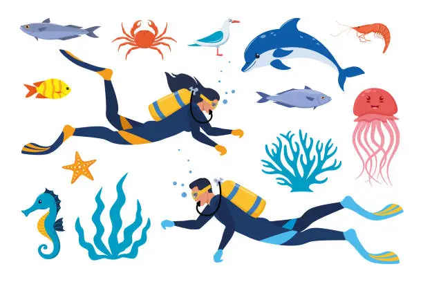 Vector illustration of Diving and underwater world, set of elements. Diver with aqualung oxygen cylinders marine life elements. Starfish, octopus, jellyfish, corals, algae. Vector illustration.