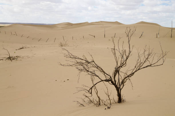 istock Tuyesu dunes landscape, Senek, Kazakhstan 1925449159