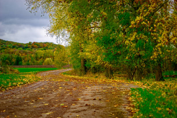 A wonderful rainy autumn day in Bavaria
