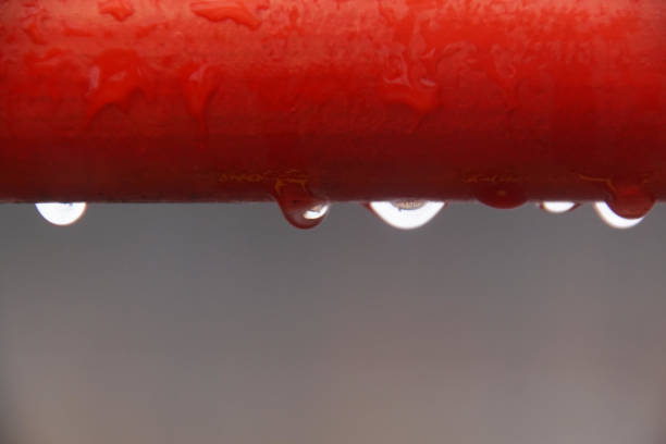 raindrops on ceramic coated red car with hydrophobic effect, shallow focus