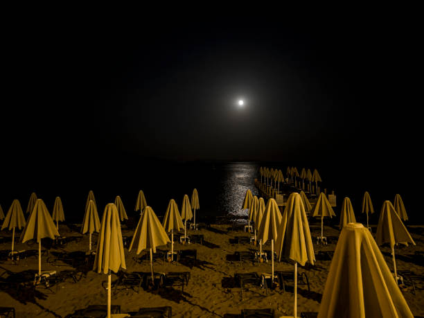Umbrellas with loungers placed next to the coastline at night