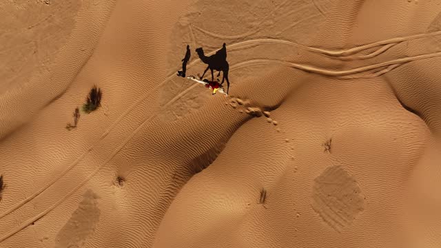 The drone is flying topdown following a man with a camel and a person on top in the dessert with their shadow on the ground in Tunisia Aerial Footage 4K