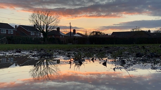 Reflection in a puddle in a field of a sunset. Clouds trees