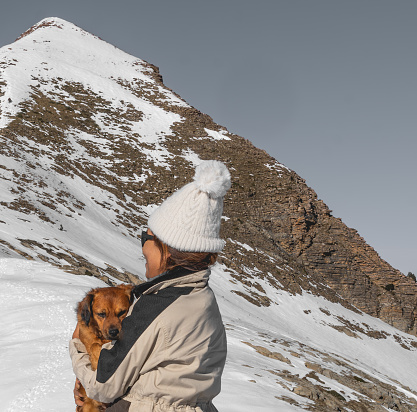 dog cuddled by its owner with a cold face. on a snowy mountain French Arlas