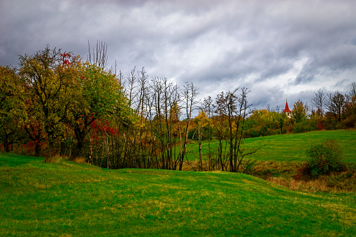 Scenery of John Heinz National Wildlife Refuge at Tinicum in Autumn, Philadelphia, Pennsylvania, USA