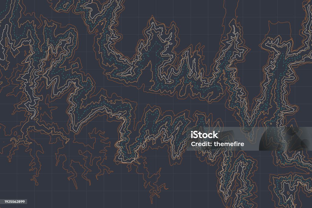 Abstract Topographic Vector Background With Colorful Land Topology ...