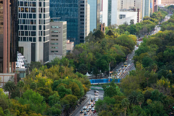 istock High view of Paseo de la Reforma 1925566586
