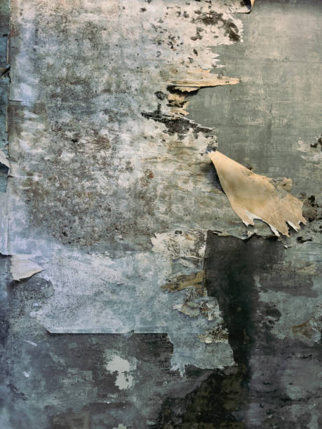 istock Pieces of torn paper peeling off wall 1925598094