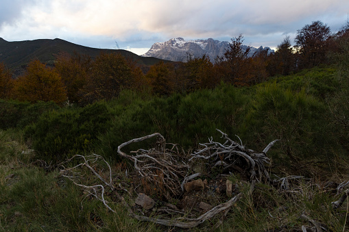 Landscape of Picos de Europa National Park in atumn with peaks and bright forest leaves at sunset