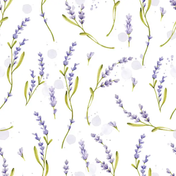 Vector illustration of Lavender flowers watercolor seamless pattern on watercolor splashes background