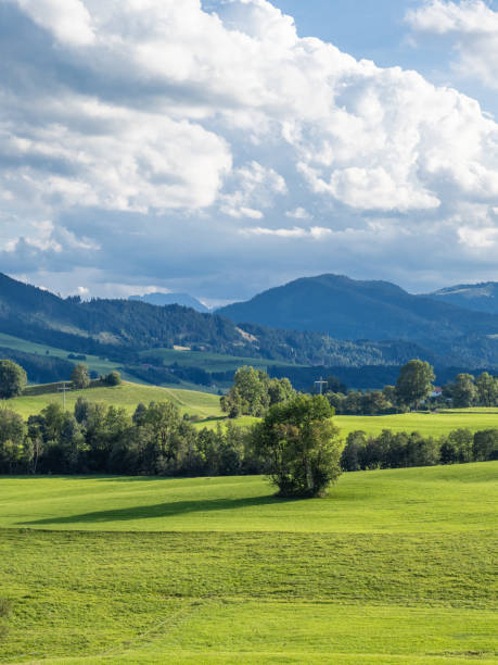 istock Green landscape in Allgovia, Germany 1925600429