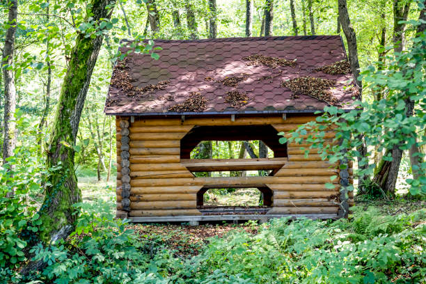 istock Comfortable and quiet gazebos , Beautiful gazebo in the woods 1925614815