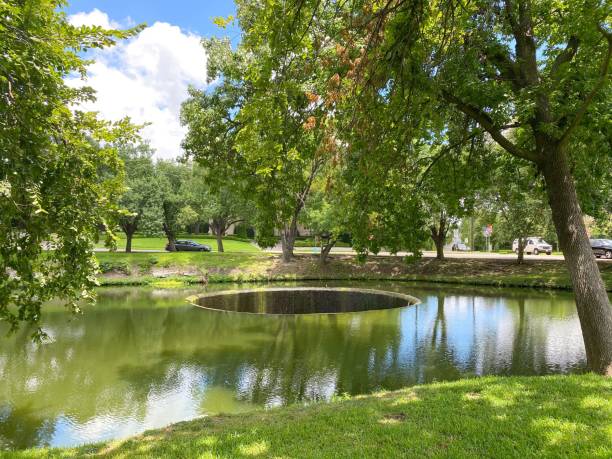 istock pond in the woods with trees on either side of it 1925615338