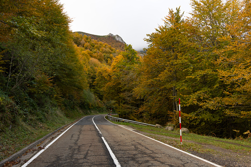 Landscape of Picos de Europa national park road through autumn forest with bright colorful leaves and sunset in northern Spain
