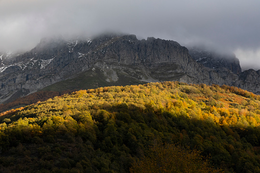 Landscape of Peaks of Europe national park at sunset with bright sunset sky and autumn forest with colorful yellow and orange leaves in northern Spain