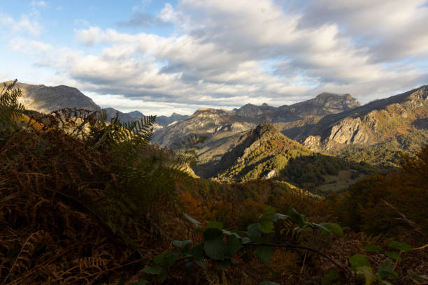 paesaggio del parco nazionale delle vette dell'europa al tramonto con il cielo luminoso di tramonto e la foresta di autunno con le foglie gialle e arancioni variopinte - cantabria picos de europe mountains panoramic asturias foto e immagini stock