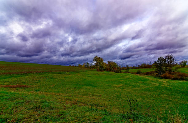 istock wonderful rainy autumn day 1925635598