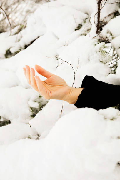 an arm sticking out from under the snow, an avalanche, a snowfall, a disaster