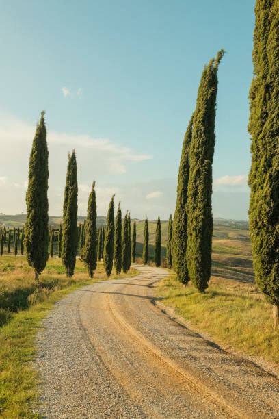 istock Scenic views of Tuscany 1925653036