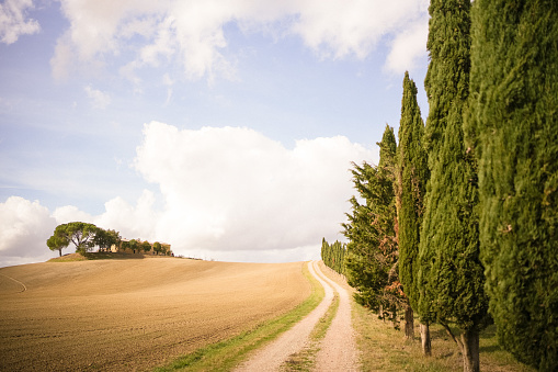 Val d'Orcia, Tuscany, Italy. A lonely farmhouse with cypress and olive trees, rolling hills.