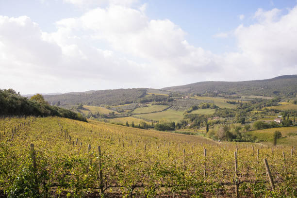 In late summer, early autumn