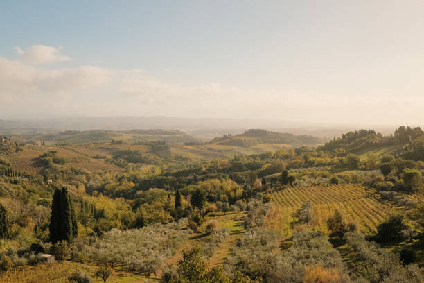 istock Scenic views of Tuscany 1925659855