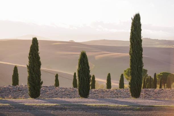 istock Scenic views of Tuscany 1925665637