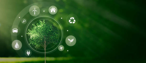 istock Eco symbols around green tree. Ecology concept 1925669390