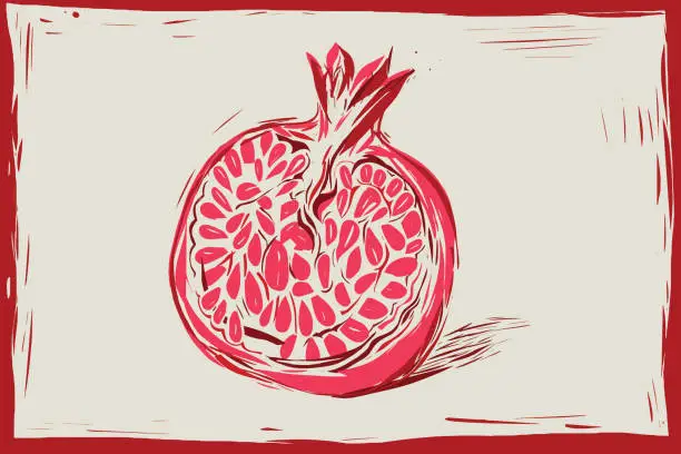 Vector illustration of Pomegranate