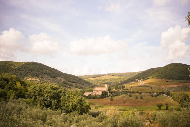 In late summer, early autumn