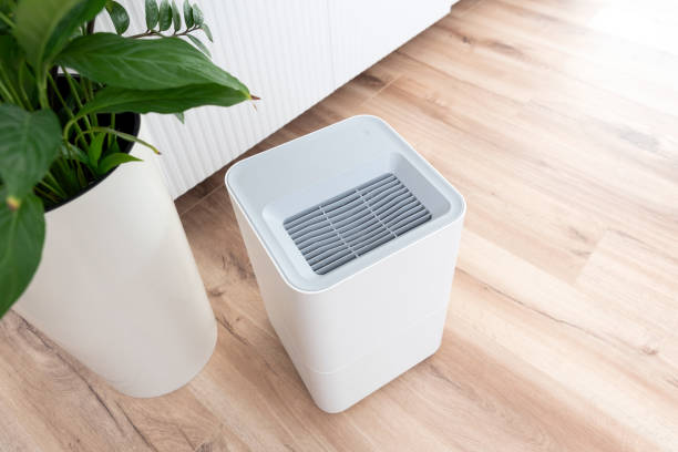 istock Modern air humidifier in living room 1925673109