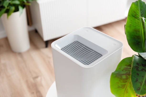 istock Modern air humidifier in living room 1925673635