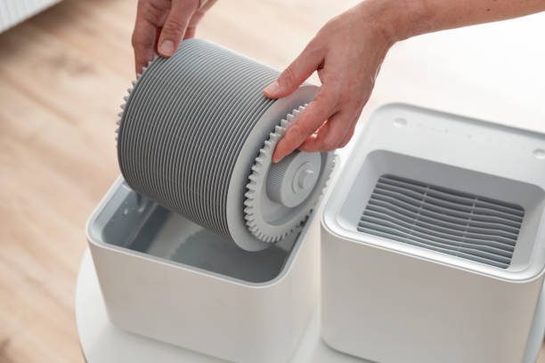 istock Modern air humidifier in living room 1925674151