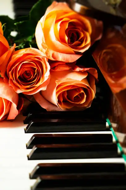 Photo of Bouquet of pink roses on the piano keyboard, romantic atmosphere. A gift from fans.
