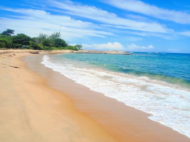istock Day of sun and sea 1925683645