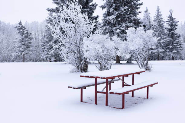 istock Winter white snowy park with a picnic table in solitude. 1925685309