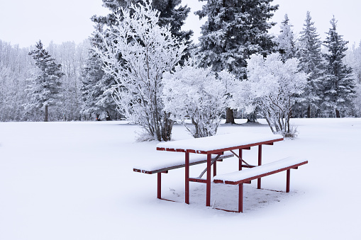 Red picnic table with a bench in the snowy winter park in solitude.